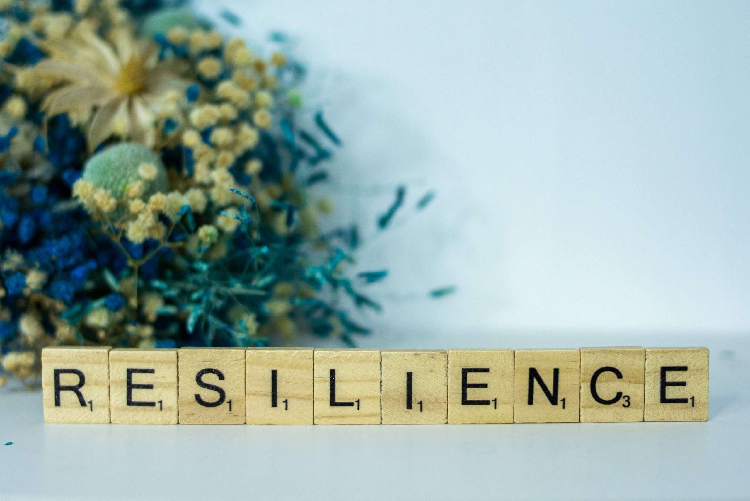 Scotland’s Creative Future: Resilience & Creative Workforce Reports